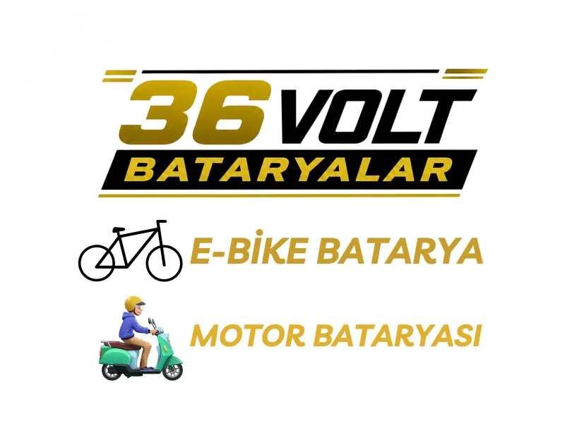 36 Volt Bataryalar
