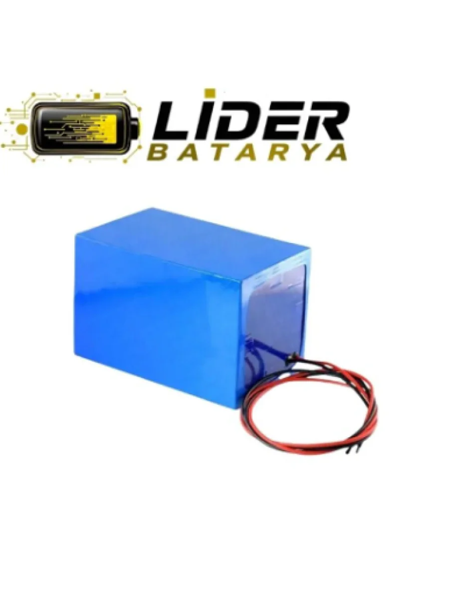 48 Volt 24 Amper Lifepo4